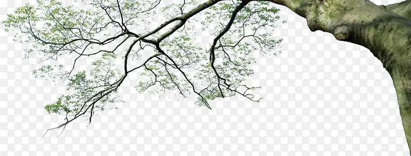 ���������������Ӱ-������