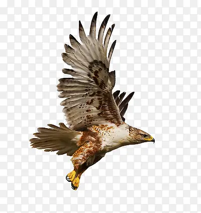 �����ӥ-������