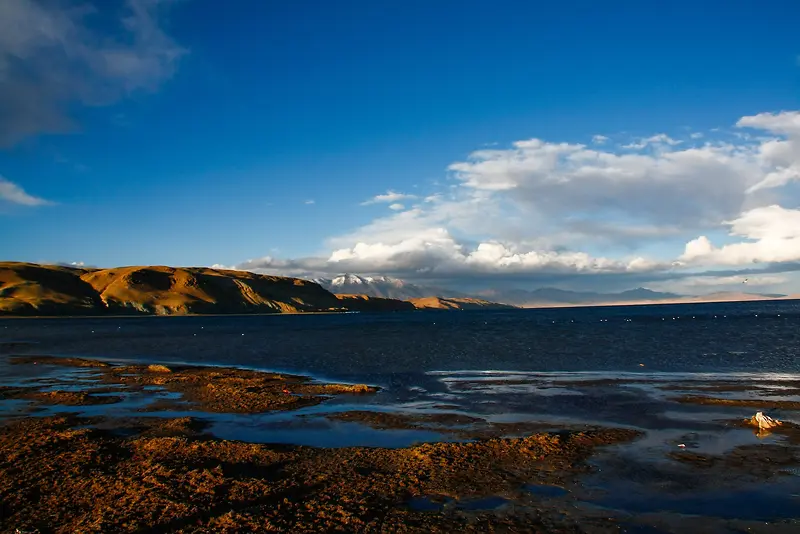 ������Ӱ������ȾЧ�����-������