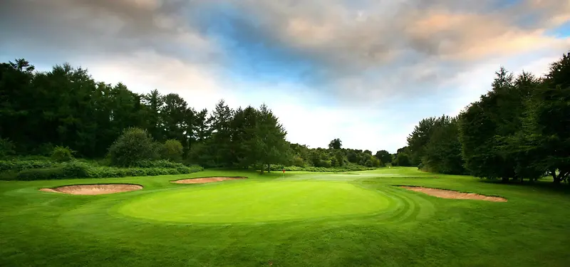 �߶���������Ӱ-������