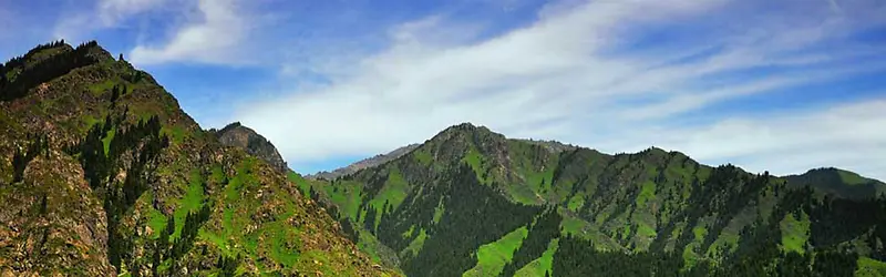 ��ձ����ز���Ȼ�����ز�-������