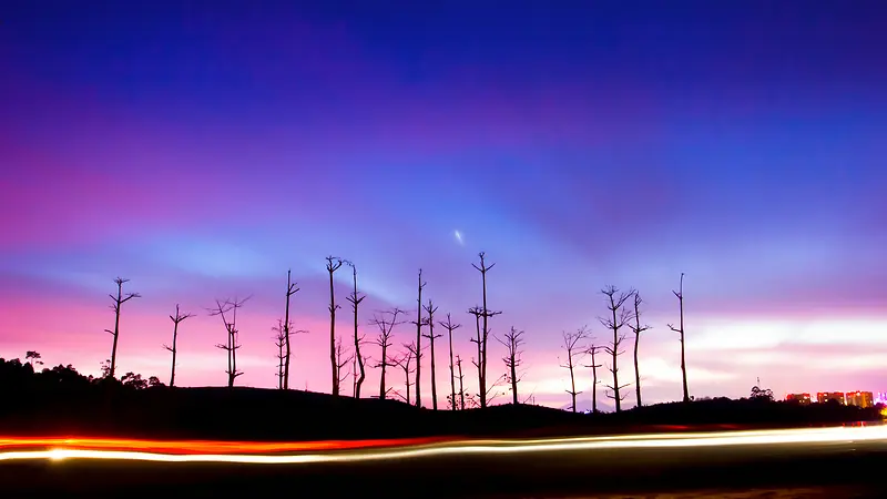 ����ɫ����µĿ���֦-������