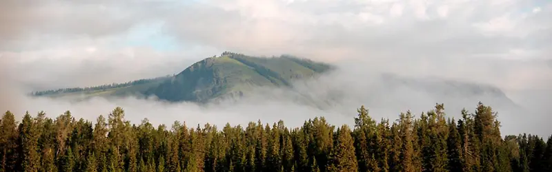 ��ձ����ز���Ȼ�����ز�-������