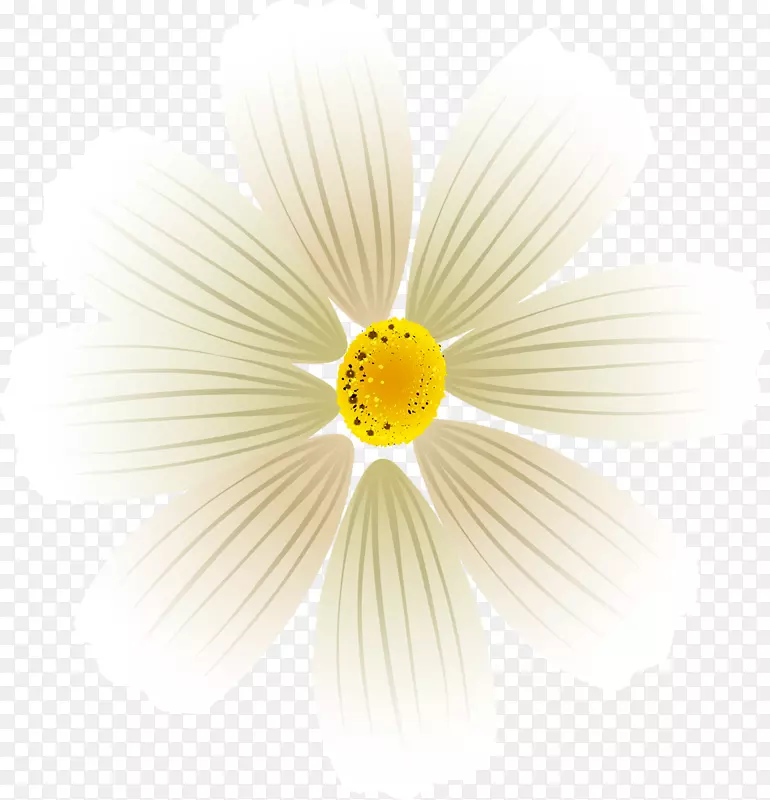 ���տƿ���ֲ�ﻨ�������ֽ-���滨-������