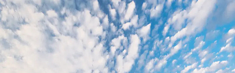 ��ձ����ز���Ȼ�����ز�-������