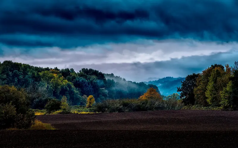 �����Ⱦɭ����Ӱ�ϳ�-������