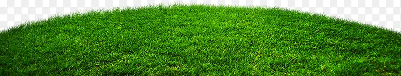 ��ͯ�ڲʺ纣���̲���һ��ͯ��-������