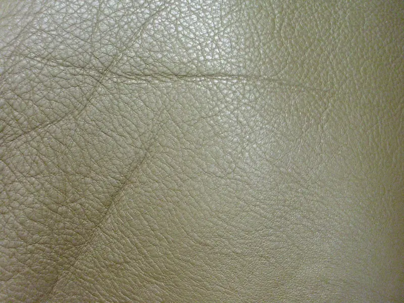 ��ɫƤ�ʱ���-������