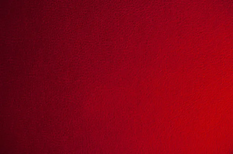 ��ɫƤ�ﱳ��-������