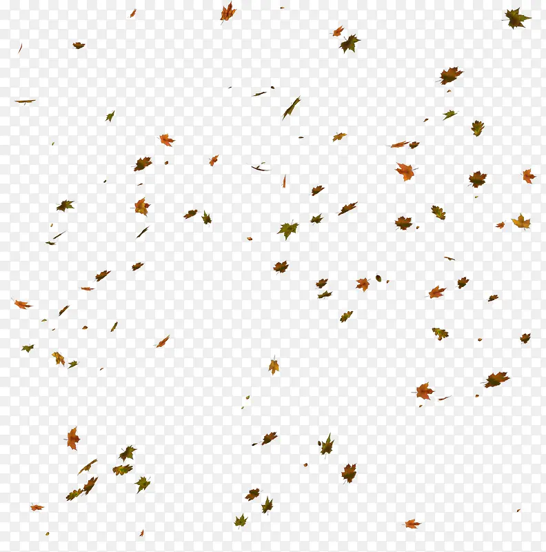 ��ҶƯ��-������