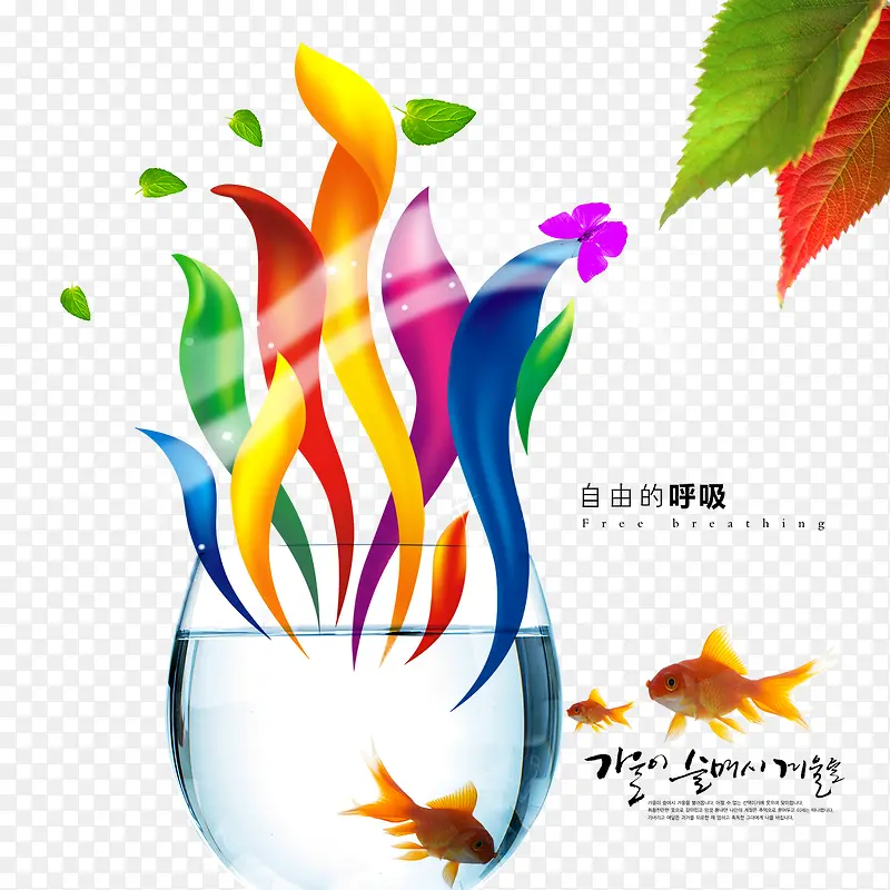 ��ʺ����ز�-������