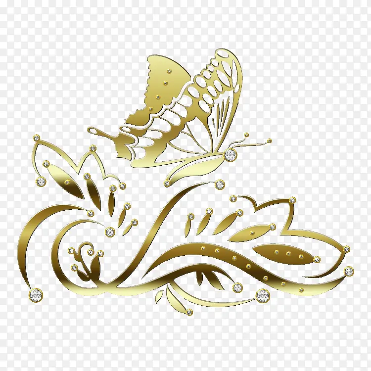 ��ɫ����-������