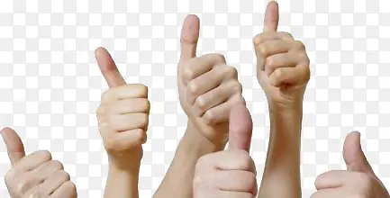 ��ָ-������