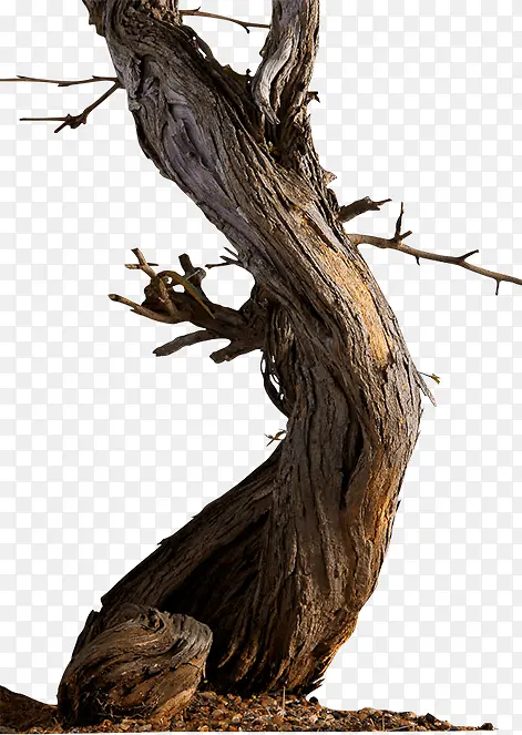 ľͷ������֦����-������