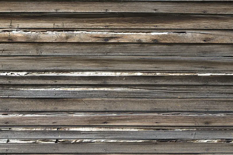 ���ʵľ����ľͷ-������