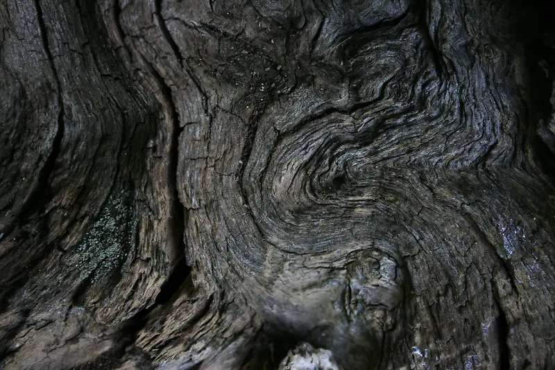 ��ľ��������-������