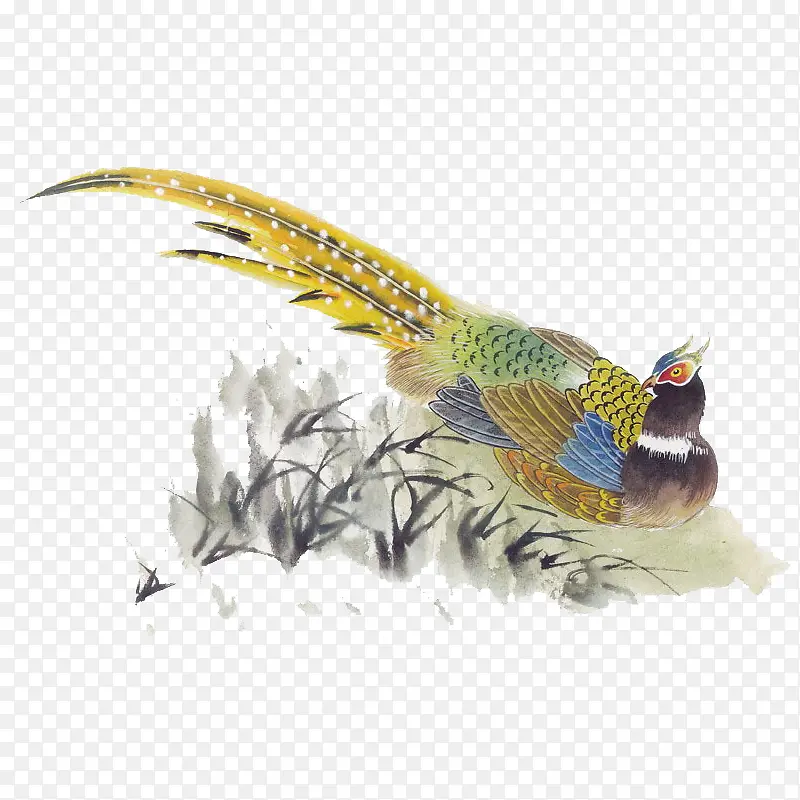 ˮ���й��缪����-������