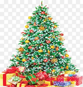 ʥ������������ز�-������