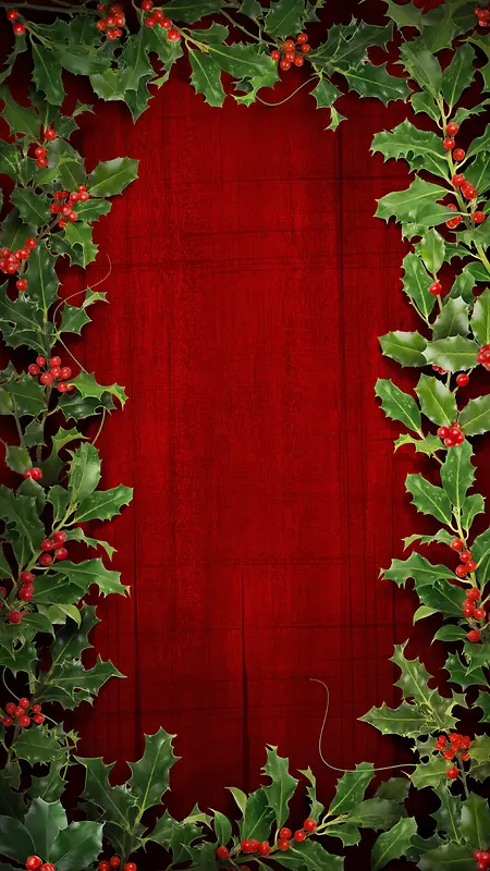 ʥ���ڱ����߿�-������