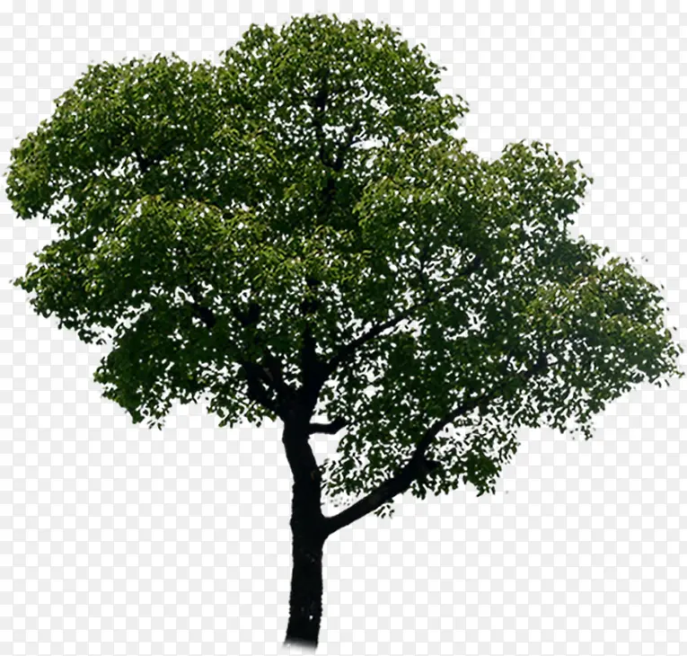 ī��ɫ�������ϳ���Ӱ-������