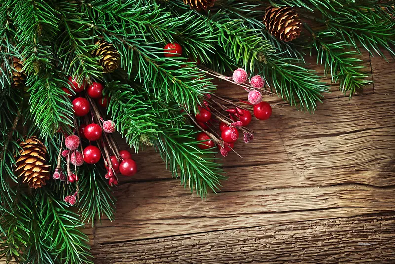 ʥ���ڱ���-������