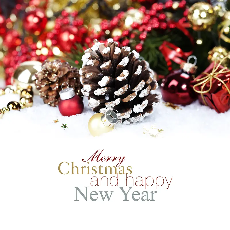 ʥ���ڱ�������-������