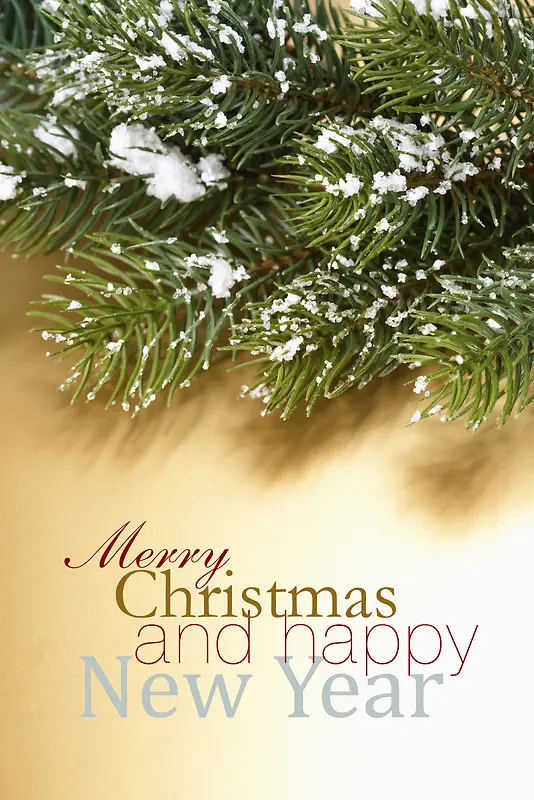 ʥ���ڱ�������-������