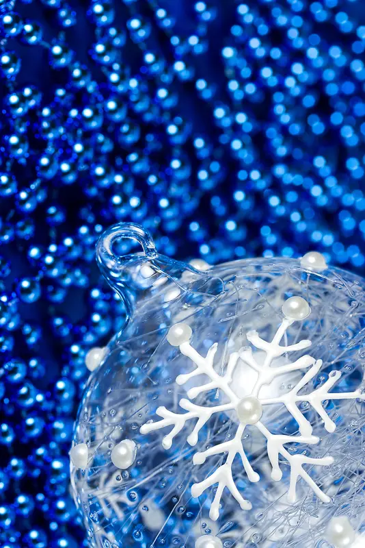 ʥ���򱳾�-������