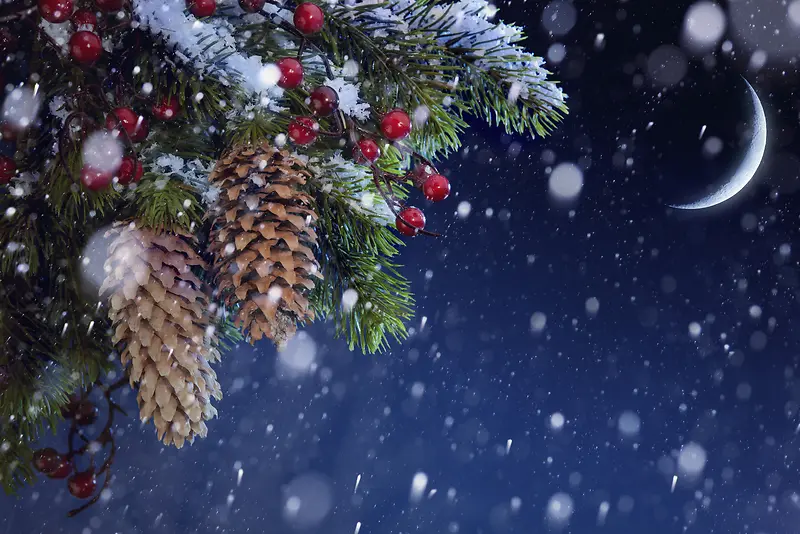 ʥ���ڱ���-������