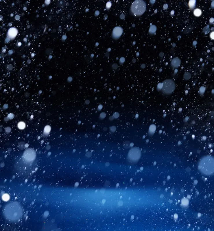 ʥ����ѩ������-������