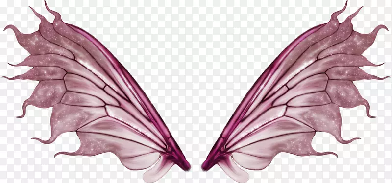 С����������Ů���-������