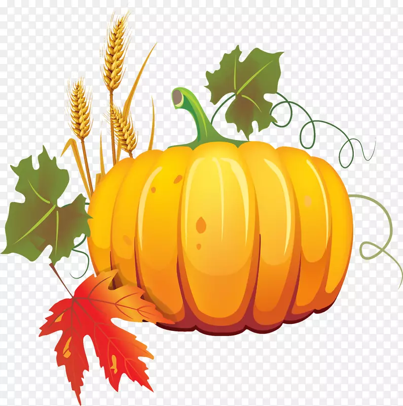 �߲��Ϲ�ʳƷ����«�Ϲ�-������