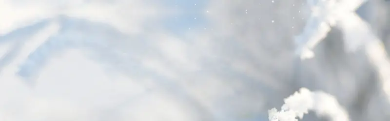 ����ʳƷ-������