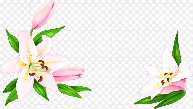 �ɰ��������»���-������