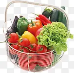 �����߲˲������Ѽ⽷-������