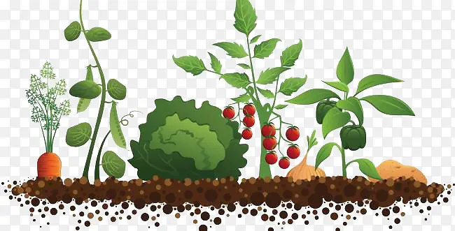 ʸ���߲�ׯ��-������