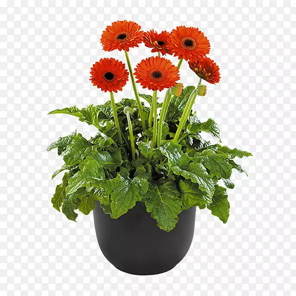 �л���ʮ�ֻ��ƾջ�-���޾�-������