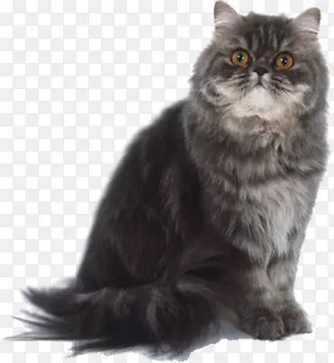 ��ɫè�䶯�ﱦʯ�۾�-������