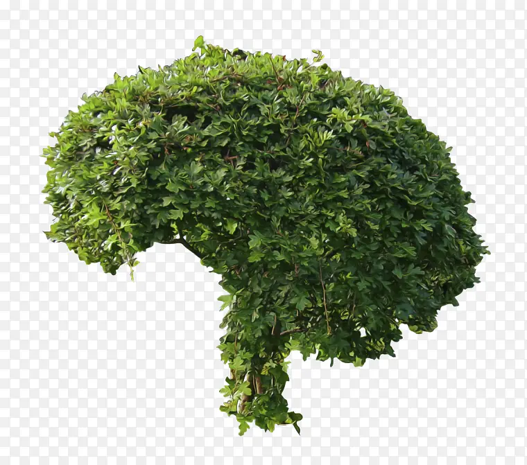 ��ɽ����������-������