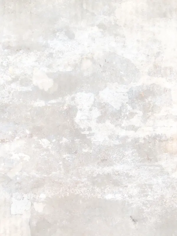 �����ǽ�ڱ���-������