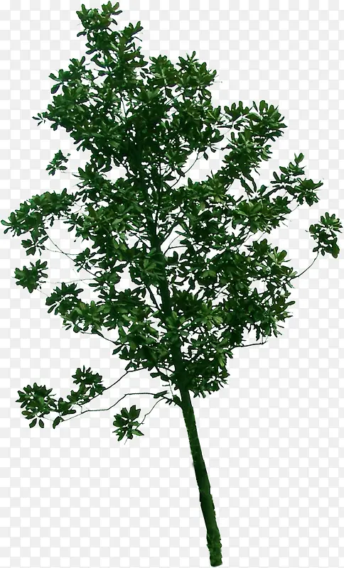 ������������Ч��-������