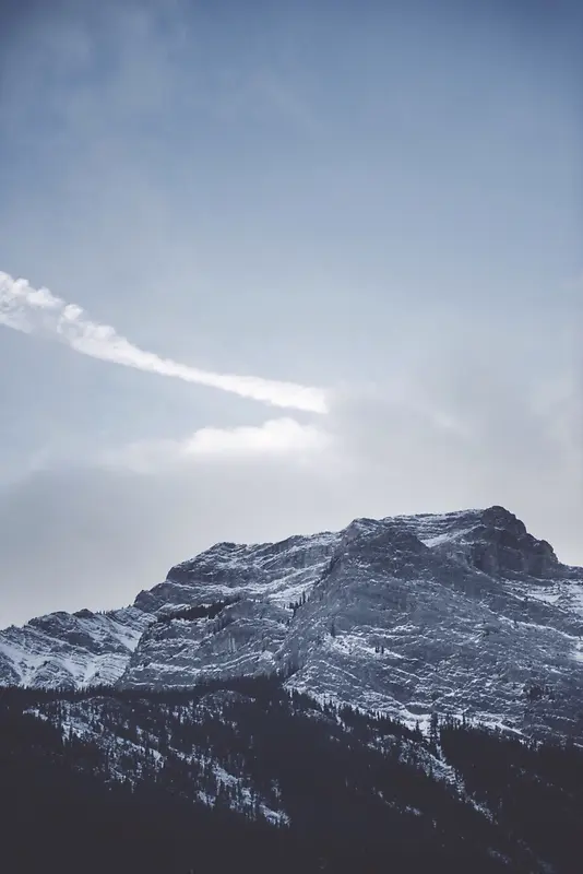 ������ƴ�����Ӱ-������