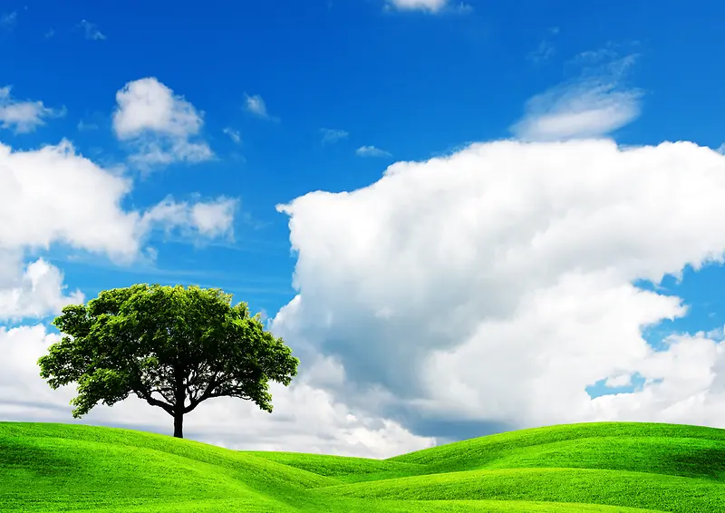 ��������̲�-������