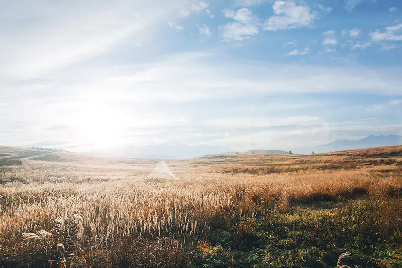 �������«έ��������Ӱ-������