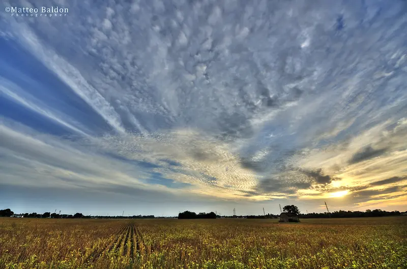 ��ɫ��״��������-������