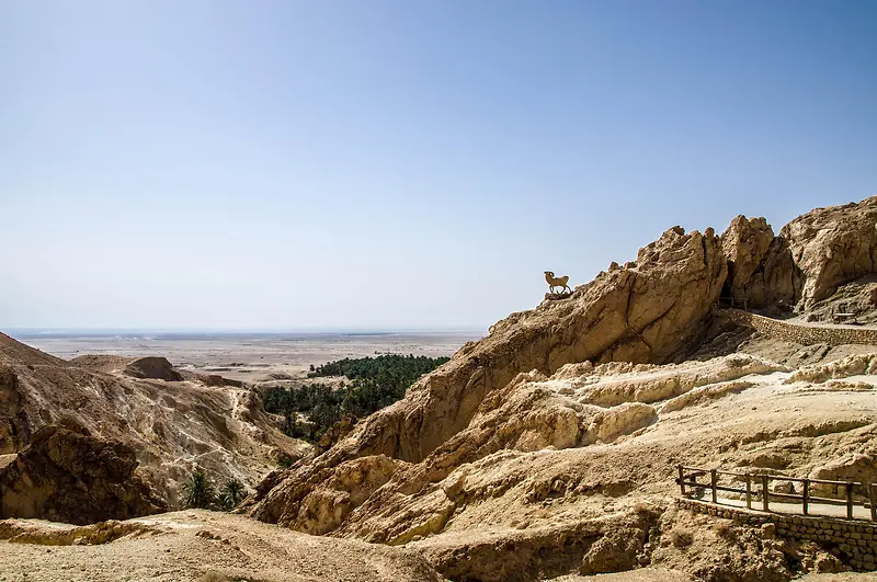 ɳĮ������������Ӱ-������