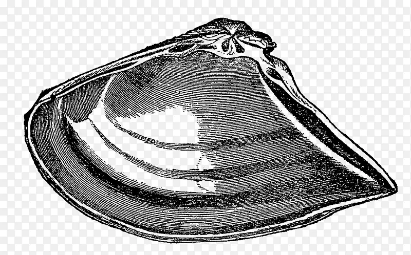 ���;߰ױ���-������