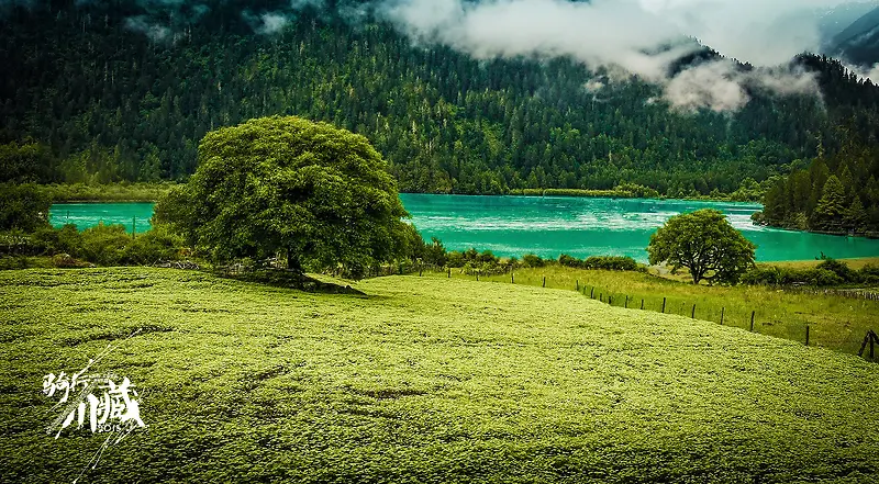 ���ƺ��������ݵ�-������