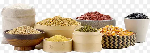 �ɹ�-������