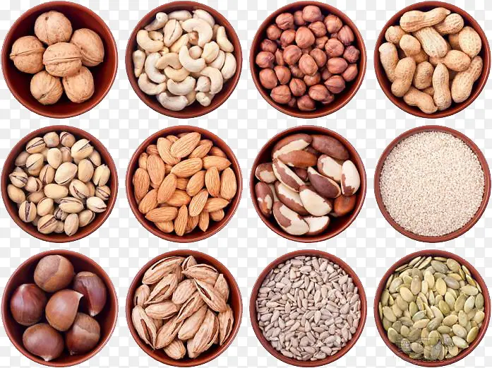 ʳ����ʳ-������